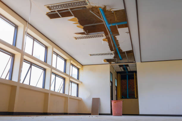 Best Residential water damage restoration  in Ntgomery City, MO