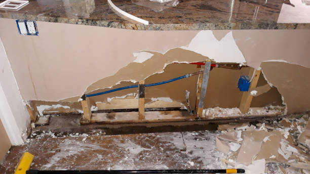 Best Water damage cleanup near me  in Ntgomery City, MO