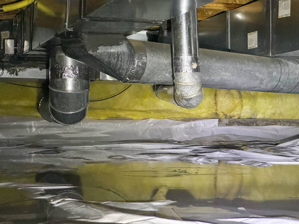 Best Mold removal after water damage  in Ntgomery City, MO