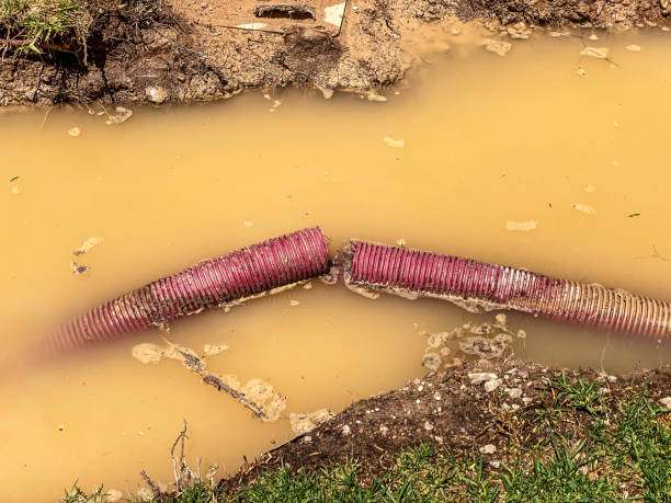 Best Water damage restoration company  in Ntgomery City, MO