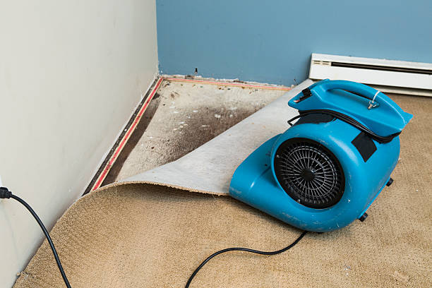 Best Professional water damage repair  in Ntgomery City, MO